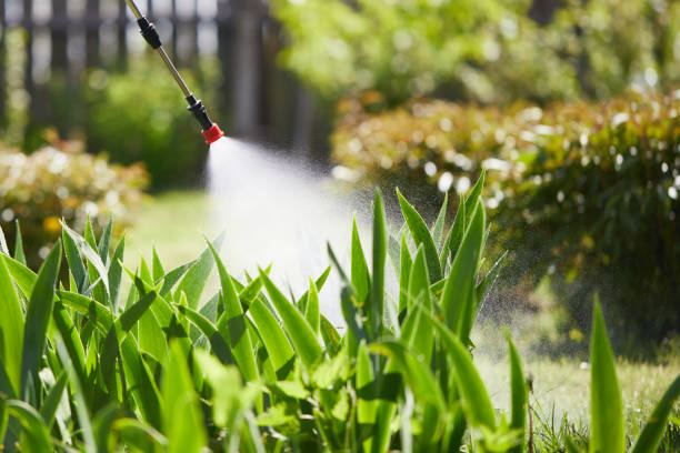 24/7 Emergency Cockroach Control experts in Front Royal, VA