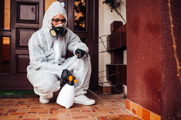 Reliable Cockroach Control contractor in Front Royal, VA by Nex Pest Control